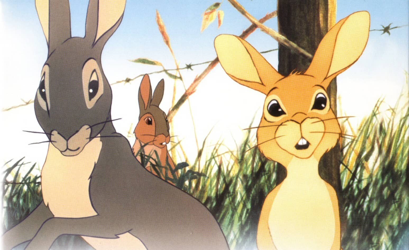 Watership Down